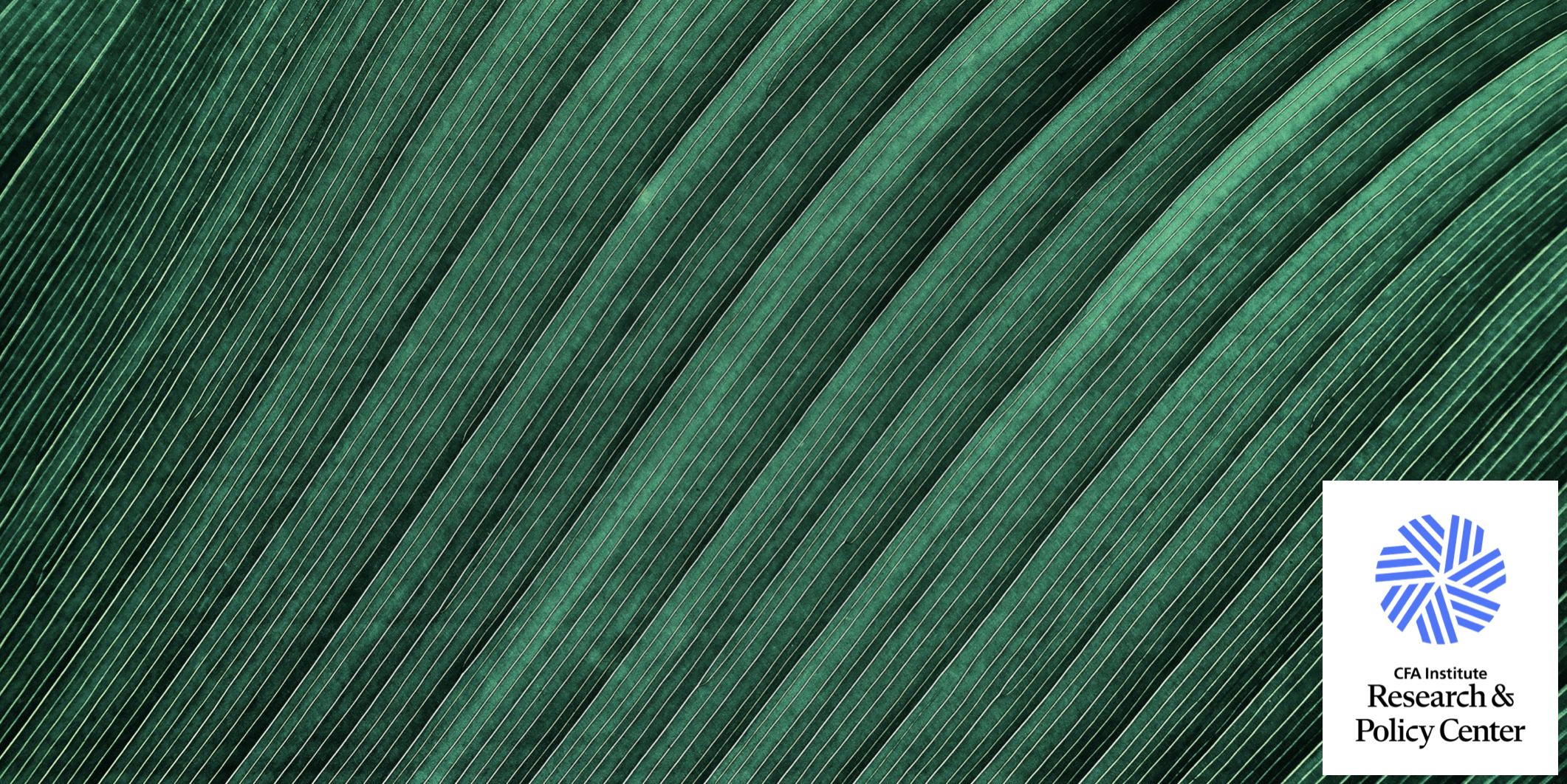 Cover for An Exploration of Greenwashing Risks in Investment Fund Disclosures: An Investor Perspective